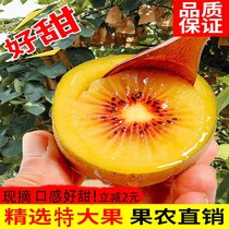 Red Hearts Chic Exotic Fruits Fresh Chieca Fruit Orchard Sichuan Mud Monkey Peach Pregnant Woman When Season Fruit Macaque Peach