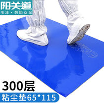 Yang Guan Dao Sticky Dust Mat Clean Dust-free Mat Purification Chamber No Dust Room Workshop Pedalling Floor Mat Can Tear Floor Dust Removal