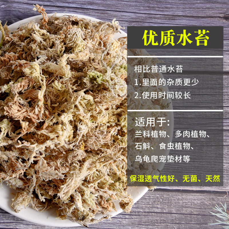 蝴蝶兰兰花换盆介质水苔水草疏松透气-图1