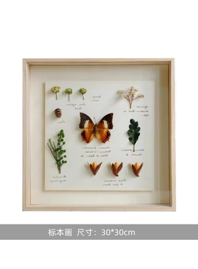 现代简约创意潮流温馨家居饰品摆件样板间阳台园艺主题标本装饰画