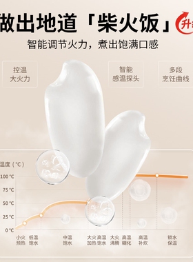 本灵电饭煲陶瓷内胆无涂层家用迷