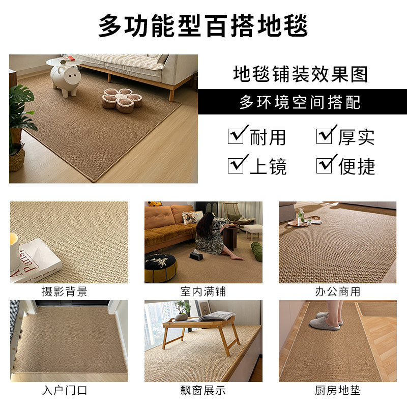 Wear-resistant cat scratch-proof photography background carpet living room