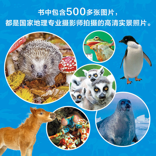 【直播间推荐】国家地理探索百科全辑全25册地理知识儿童地理百科全书认识自然现象探索宇宙知识六一儿童节礼物-图2