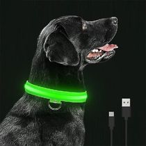 LED Glowing Dog Collars Rechargeable Waterproof Luminous