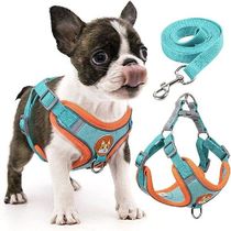 Step-in Dog Harness Small Dogs Harness and Leash Set