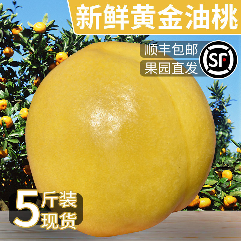 黄金油桃新鲜水果5斤黄心肉大桃子当季整箱包邮蜜脆桃孕妇水密桃
