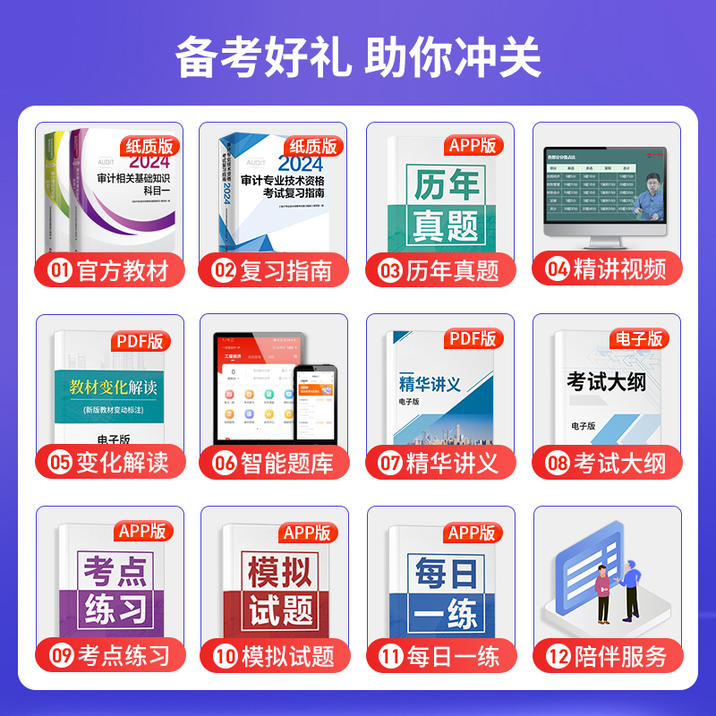 官方2025年初级中级审计师考试教材复习指南审计理论与实务审计相关基础知识初级审计师中级教材2025审计师教材审计师网课