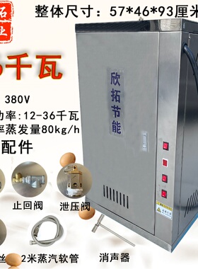 电热蒸汽发生器节能高效