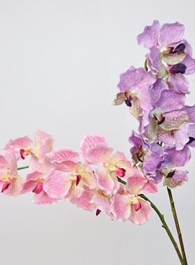 手感保湿万代兰仿真花家居软装饰
