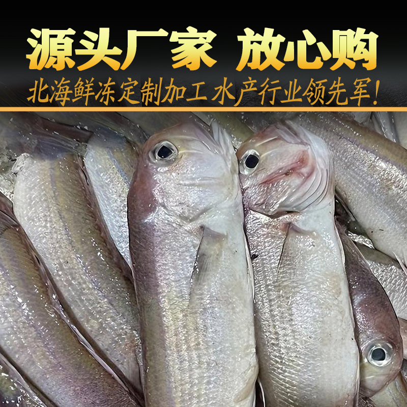 【厂家批发】北海马头鱼新鲜冷冻深海鱼海鲜 可贴牌代加工OEM定制 - 图1