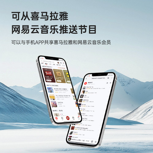 朝元A15便携网络收音机随身听4G+Wi-Fi联网触屏+按键内置喜马拉雅 - 图2