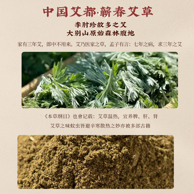 Natural mugwort raw materials are extracted and ground, single mugwort powder