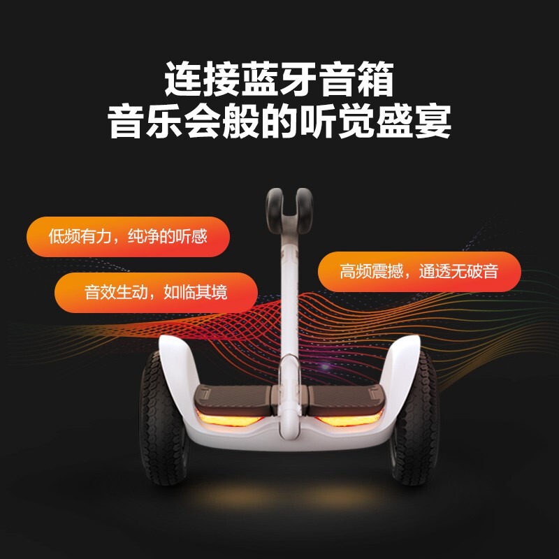 ninebot小米九号电动儿童平衡车 ninebot亚星自平衡电动车