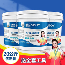 20KG ENVIRONMENTALLY FRIENDLY INTERIOR WALL EMULSION PAINT INDOOR HOME WHITE SELF-BRUSHED POWDER WALL PAINT REPAIR PAINT COLOR PAINT LARGE BARREL