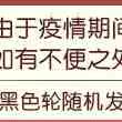 四轮滑板初学者儿童68岁以上1012岁成人专业划板双翘成年滑板车 - 图2