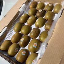 Chic New Zealands Exotic Fruit Chic Exotic Fruit Whole Box 16 Gold -25 Sunshine Golden Gooch Divorced Fruit Yellow Heart Jumbo