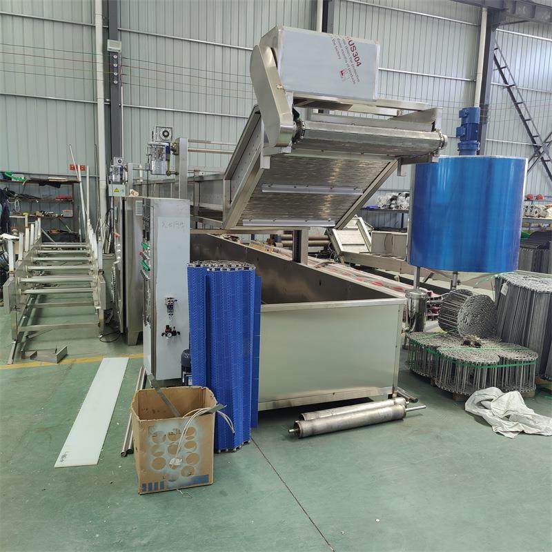 生菜清洗机果蔬清洗设备全自动连续式气泡清洗机樱桃气泡清洗设备,淘宝优惠券,粉丝福利购,淘宝优惠卷