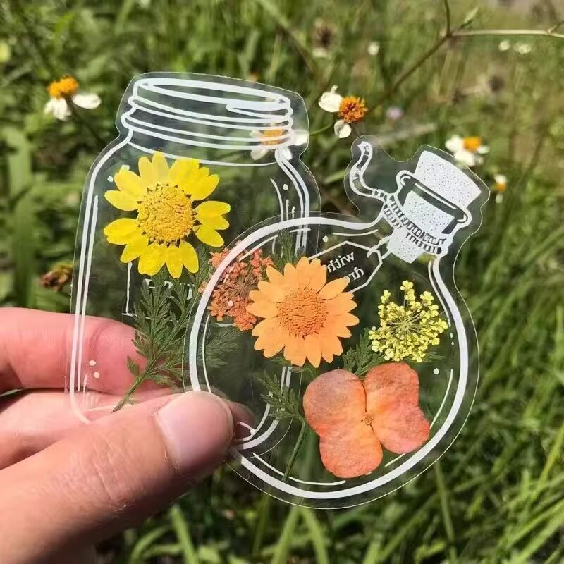 树叶标本塑封膜干花书签瓶子里的春天手工diy材料落叶收集植物透明创意贴纸玻璃瓶叶子袋儿童粘贴画枫叶压花
