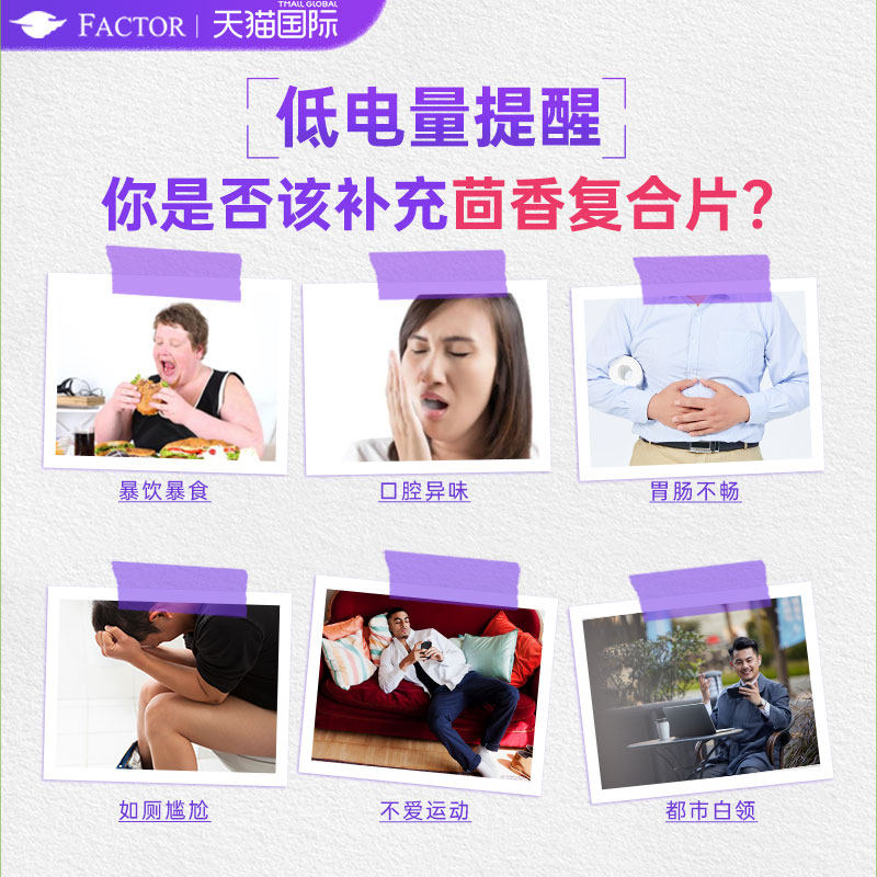 茴香复合片草本提取调理肠胃消化酶 Factor保健食品海外其它植物提取物
