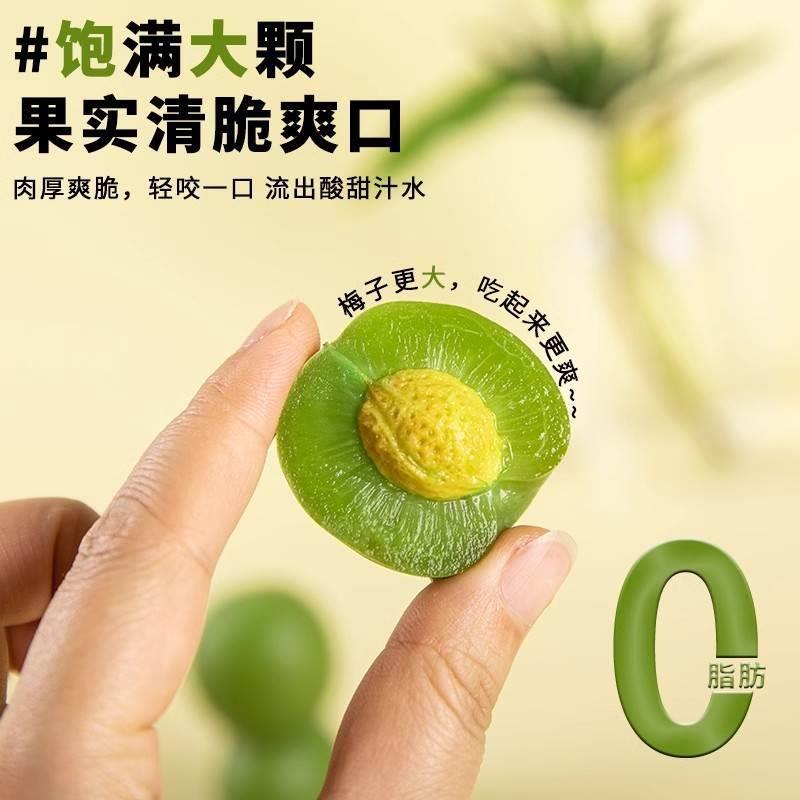 脆青梅500g青口梅小包装酸脆梅子爽口梅新鲜果脯特产蜜饯果干零食 - 图3