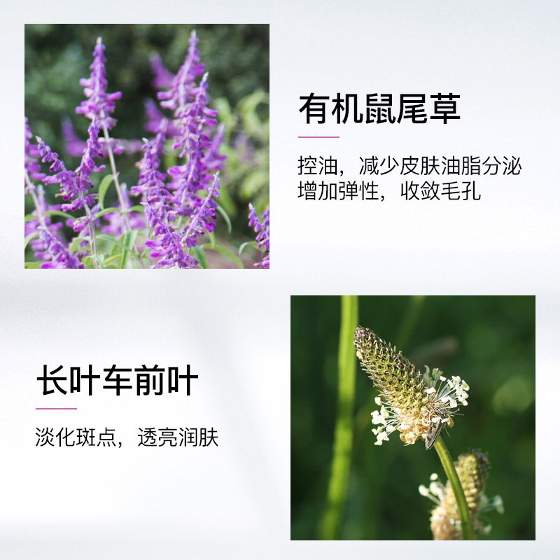 德国mg小瓷瓶鼠尾草爽肤水精华油脂 MartinaGebhardt海外化妆水/爽肤水