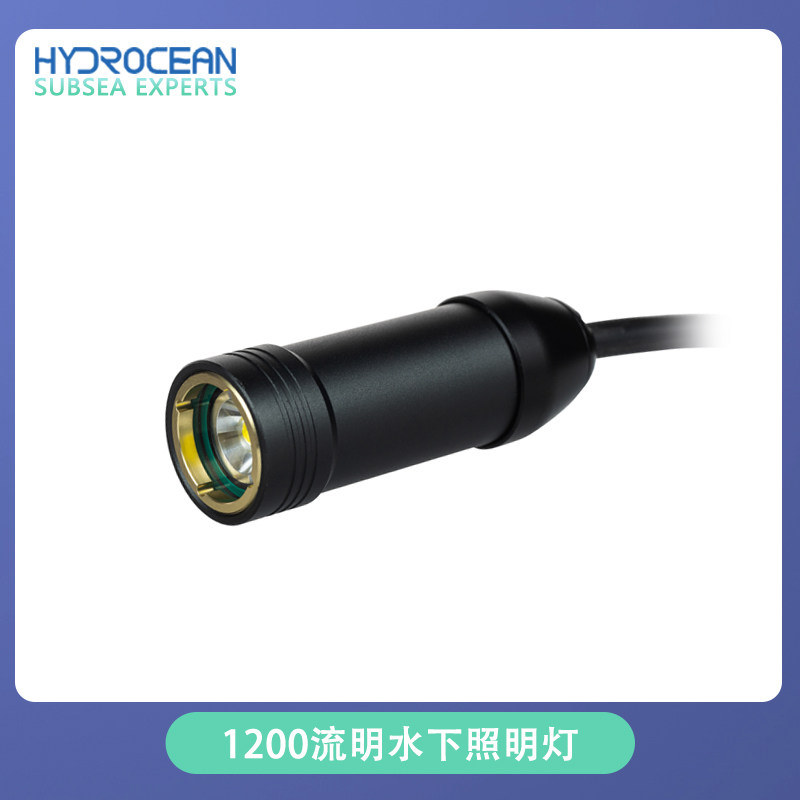ROV水下机器人光源防水照明灯照明器材户外深水LED防水灯12V24V,淘宝优惠券,粉丝福利购,淘宝优惠卷