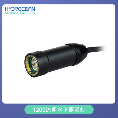 ROV水下机器人光源防水照明灯照明器材户外深水LED防水灯12V24V - 图0