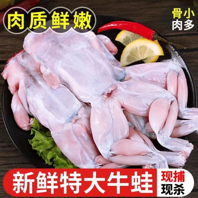 半成品商用青蛙肉餐饮火锅烧烤食材无冰衣牛蛙新鲜冷冻田鸡牛蛙腿 - 图2