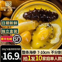 250g * 10 boxes of Buddha jumping wall heating ready-to-eat authentic family clothing Soup Concentrated Juice Official Flagship Store Single Bag