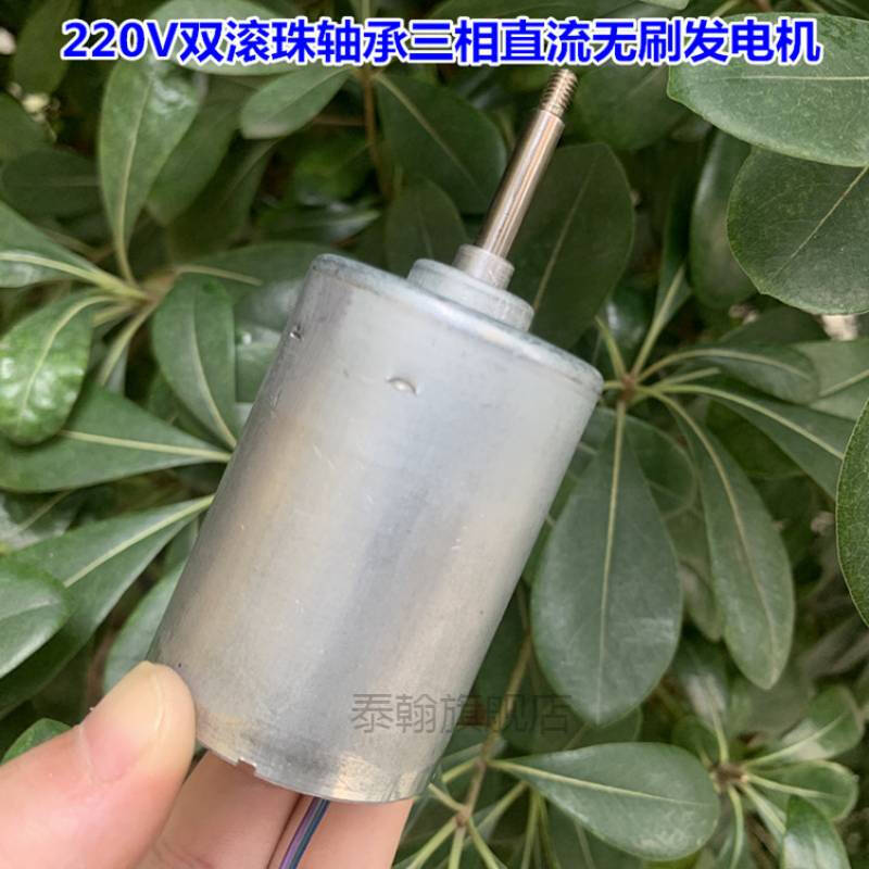 驭舵家用发电机便携发电机微型发电机220v220V双轴承直流高压无刷-图3