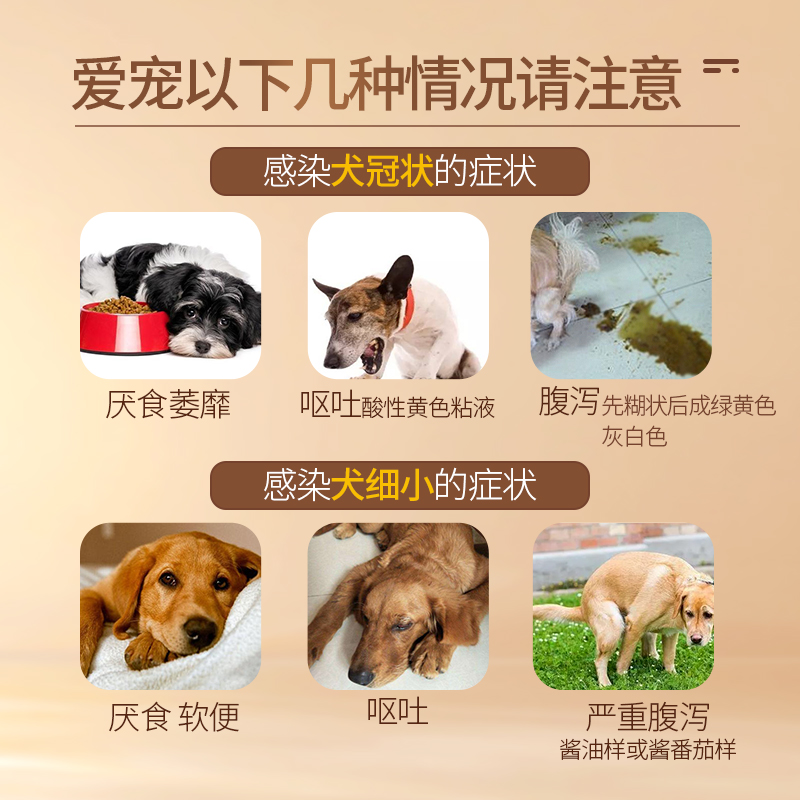 犬冠状试纸检测犬细小试纸检测CCV犬细小CPV组合检测狗狗测试纸 - 图1