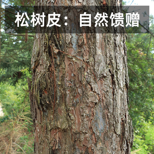 松树皮有机覆盖物园林花园彩色装饰园艺铺面铺土种植基质造景垫材 - 图0