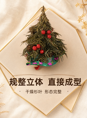 干杉叶圣诞树手工创作干花素材