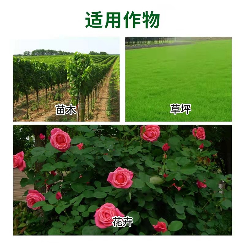 坪安暖冬植物防冻液抗寒防冻剂缓解花卉苗木果树盆栽冻害促进恢复 - 图1