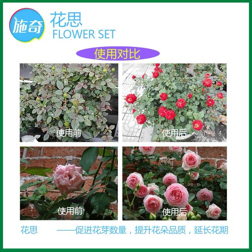 国光花思苄氨基嘌呤6BA多肉花卉爆芽素爆头延长花期细胞分裂素药 - 图2