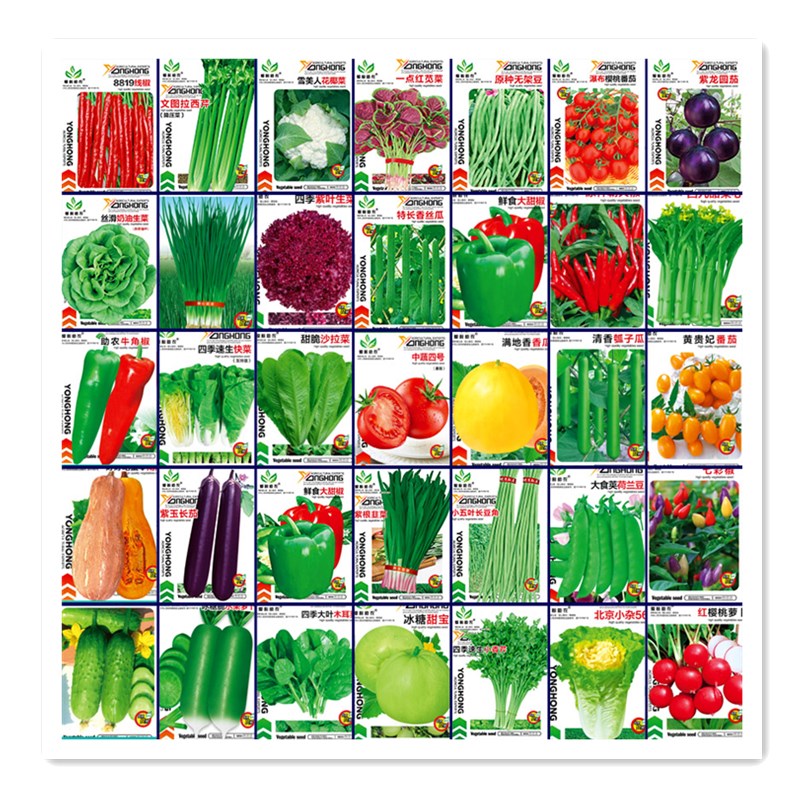 蔬菜种子四季播家庭阳台盆栽庭院易种植番茄黄瓜辣椒西瓜籽孑大全 - 图3