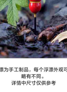 campfish小物钓浮漂灵敏咬钩巴尔杉葫芦立漂溪流漂鳑鲏马口白条漂