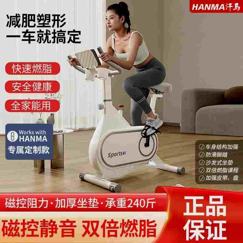 Hanma Intelligent Magnetic Control Spin Bike Home Weight Loss Exercise Equipment Silent MINI Indoor Bike Exercise Bike