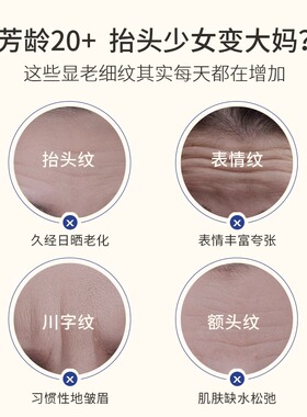 SDX洋甘菊舒润额头贴滋润保湿