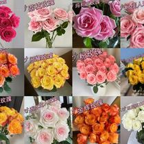Yunnan Kunming Rose Flowers Flowers Straight Batch White Lychee Purple Xia Xianzi Rose Elsa Rose Fresh Flowers Flowers Straight Hair