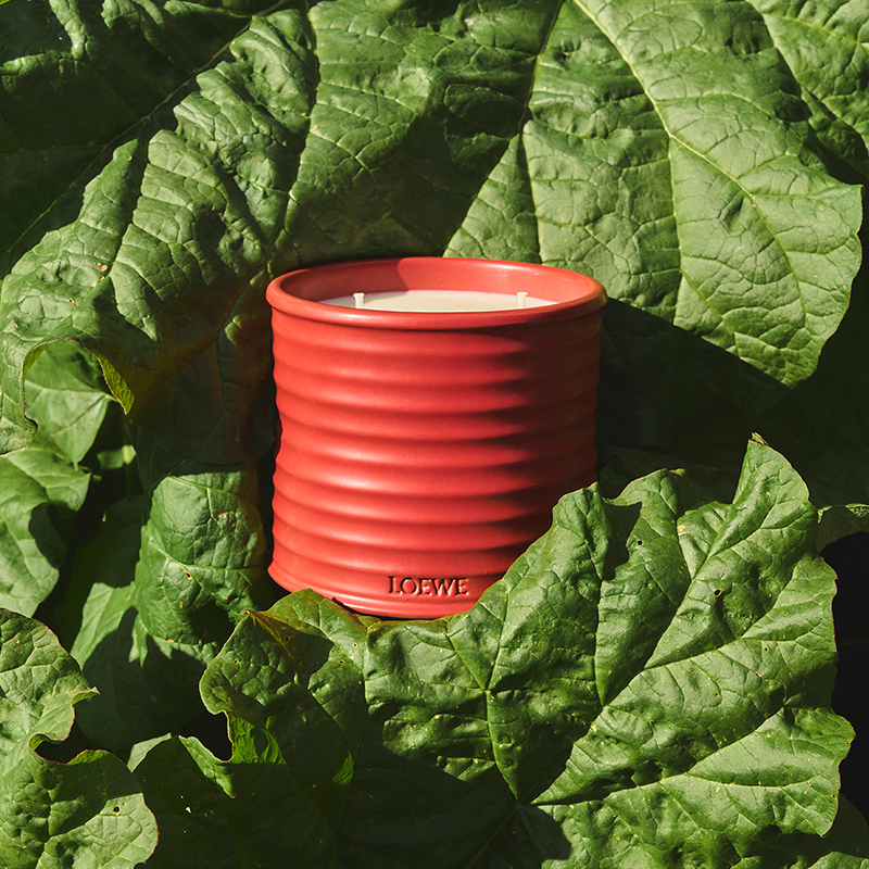 【官方正品】LOEWE罗意威番茄叶香氛香薰蜡烛植物礼物-图3