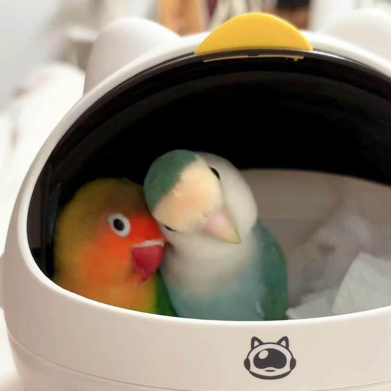 宠物鸟窝四季通用窝桌面垃圾桶高颜值迷你家用小号带盖垃圾篓ins,淘宝优惠券,粉丝福利购,淘宝优惠卷