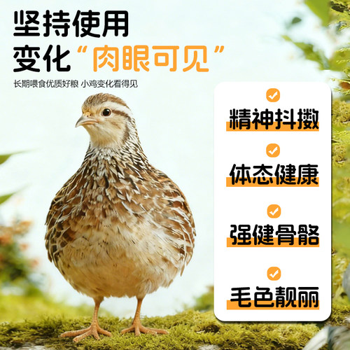 三丁芦丁鸡产蛋粮营养鸡饲料高蛋白促产蛋小芦丁鸡开口粮专用饲料 - 图1