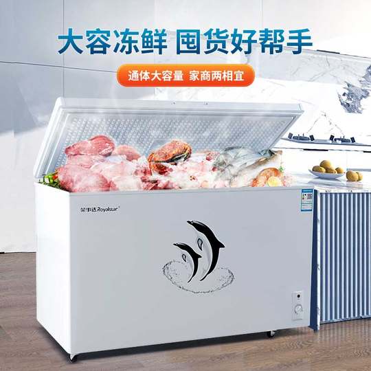 Copper tube frost-free丨Royalstar commercial large-capacity freezer