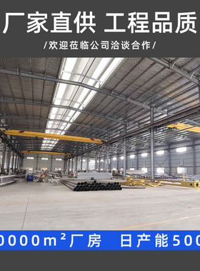 厂家直营中华灯市政工程道路照明LED中华灯景区主干道玉兰灯景观