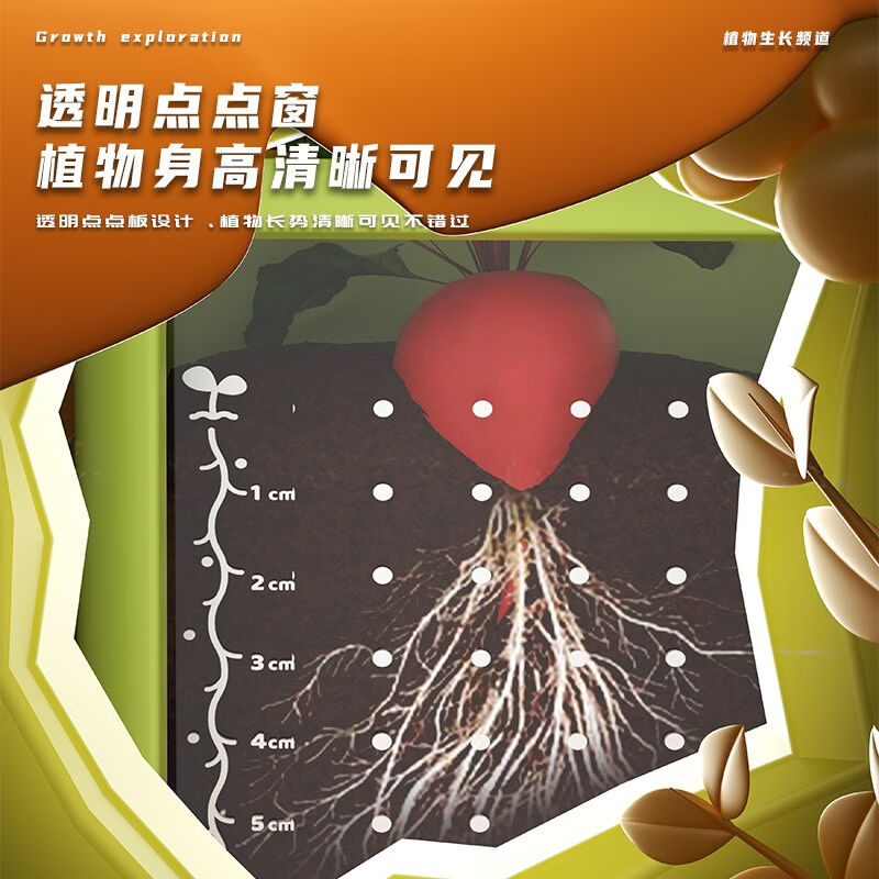 IMVE儿童阳光种植房植物观察果蔬菜花卉小盆栽箱科学实验套装新年 - 图2