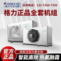 Galley Cold Storage Refrigerator Group 3p5 Pint-sized Air-cooled Compressor Preservation Refrigerated Depot Full Range Equipment