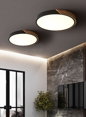 Nordic modern nimalist room ceiling lamp LED macaron persona