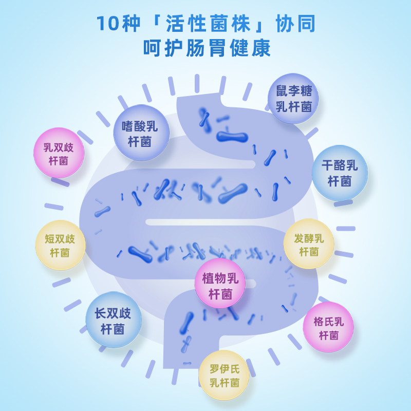 2盒装共40袋】贝斯迪复合益生菌粉肠胃肠道健康高活性活菌益生元 - 图0