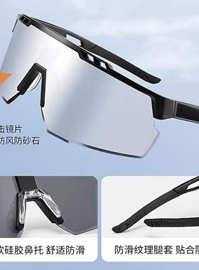 登山护目镜户外徒步爬山防风墨镜
